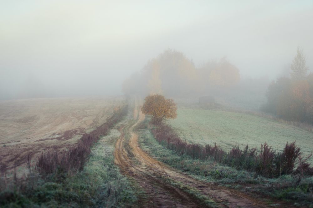 Туманная картина