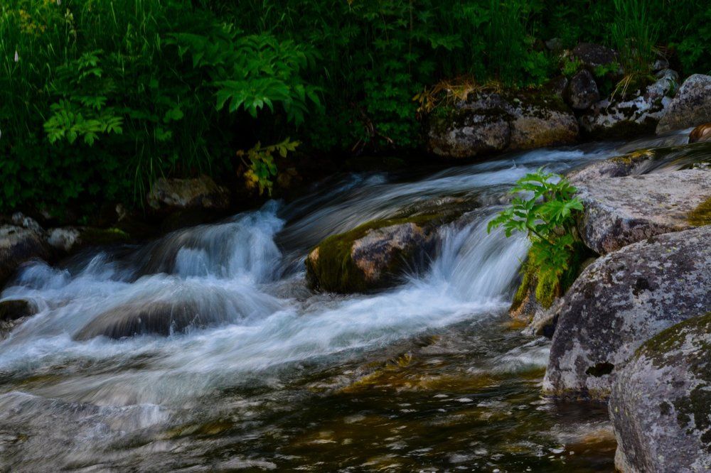 Photograph by Свиридов Александр