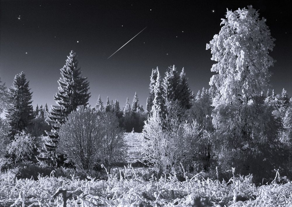 Рождественская ночь