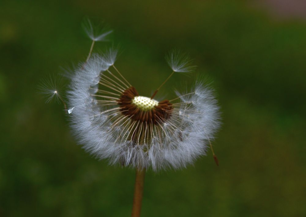 Фотография автора тимакова  нина