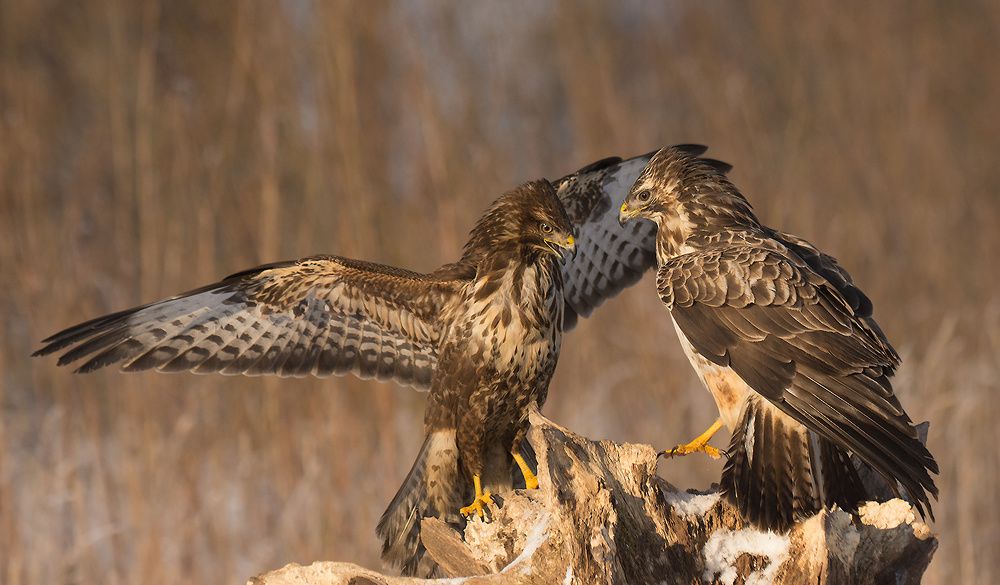 Serious conversation