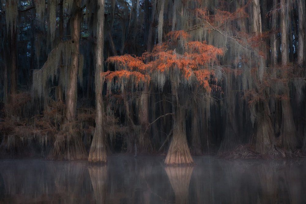 Страж болот 3