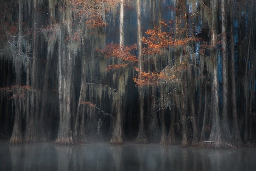 Страж болот 4