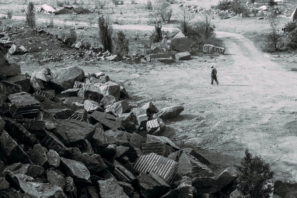 Каменные джунгли