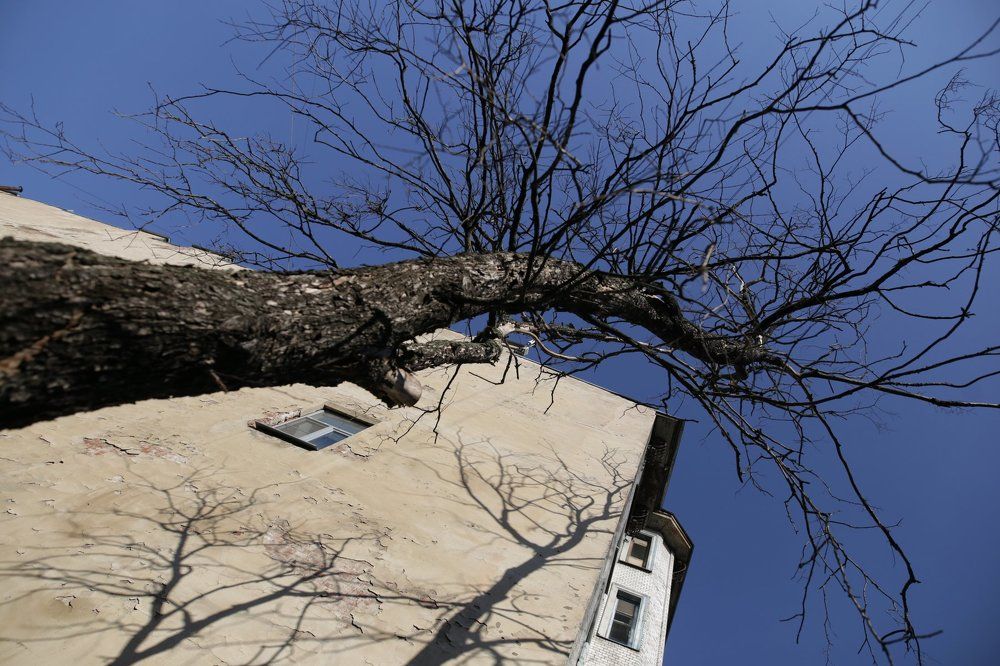 Санкт-Петербург