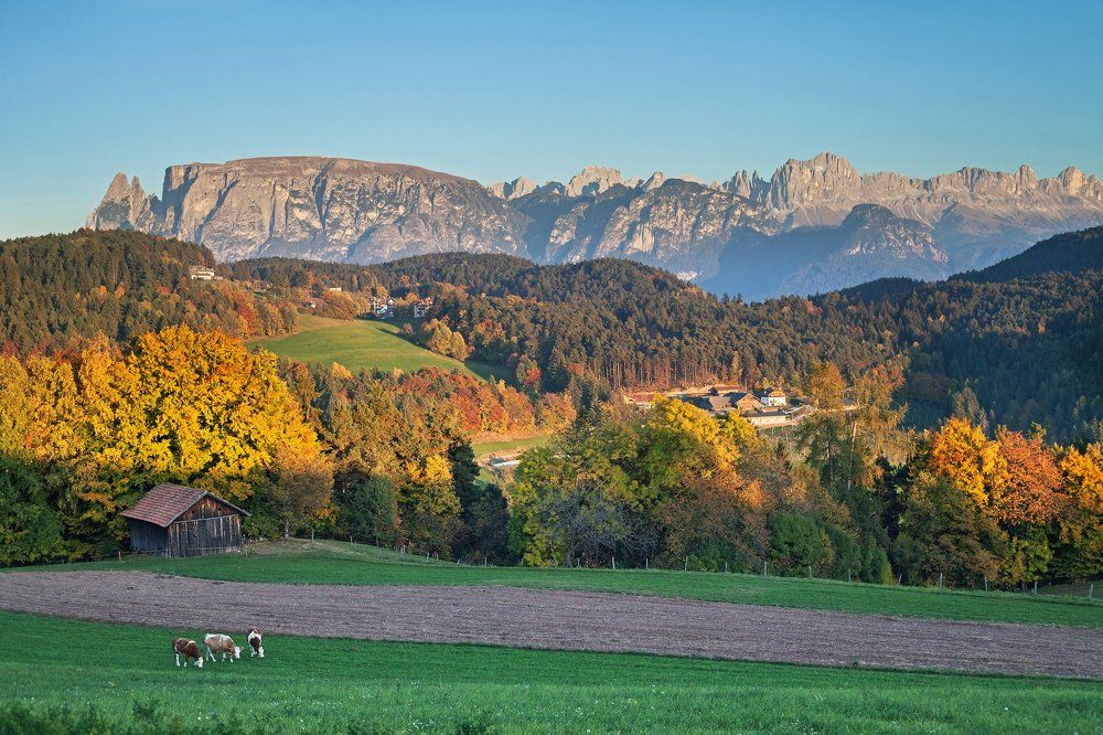 Незадолго до заката