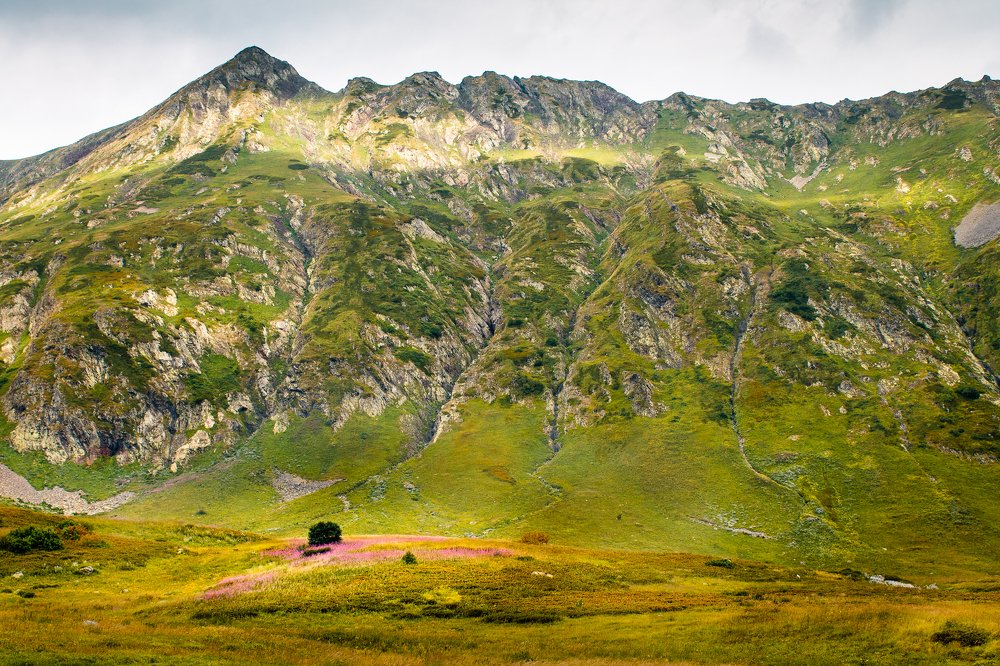 Розовое пятно