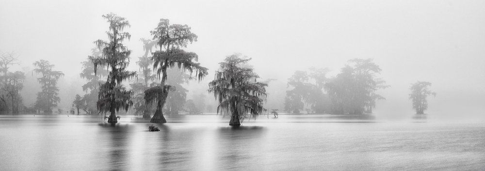 Туман над болотами 2