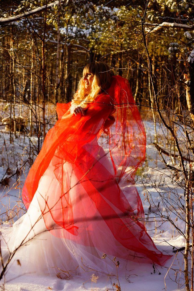 Зимняя сказка