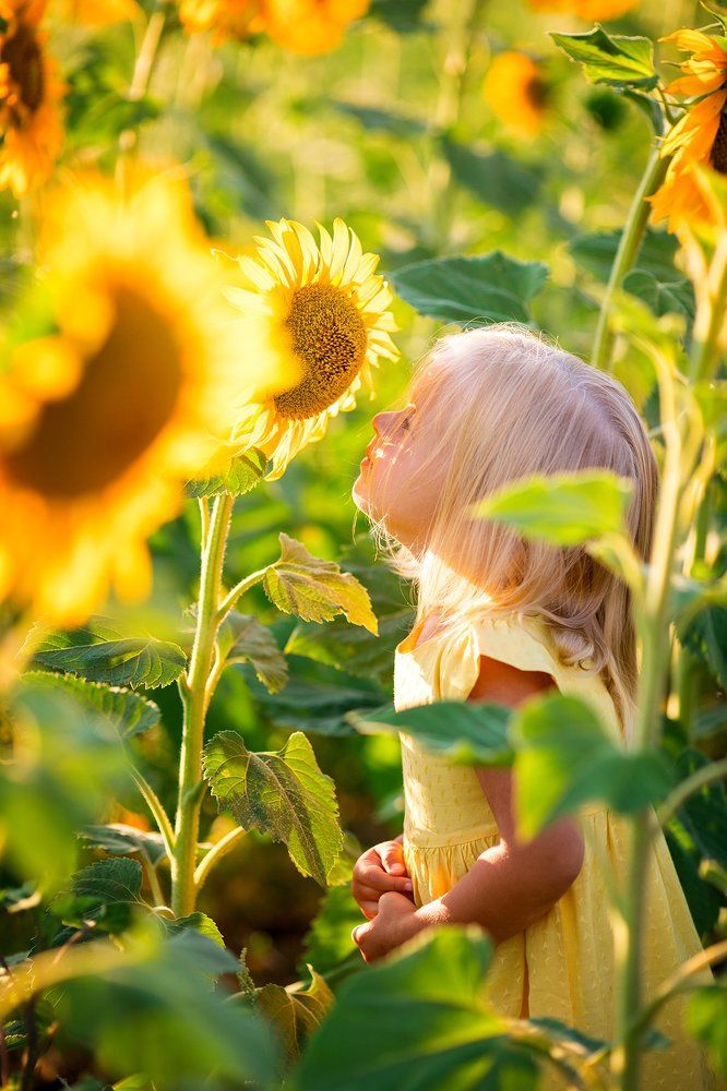 Photograph by Наталья Попова