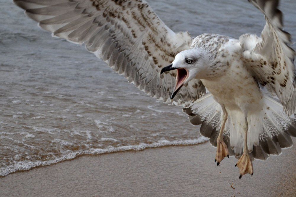 Вижу цель- не вижу препятствий
