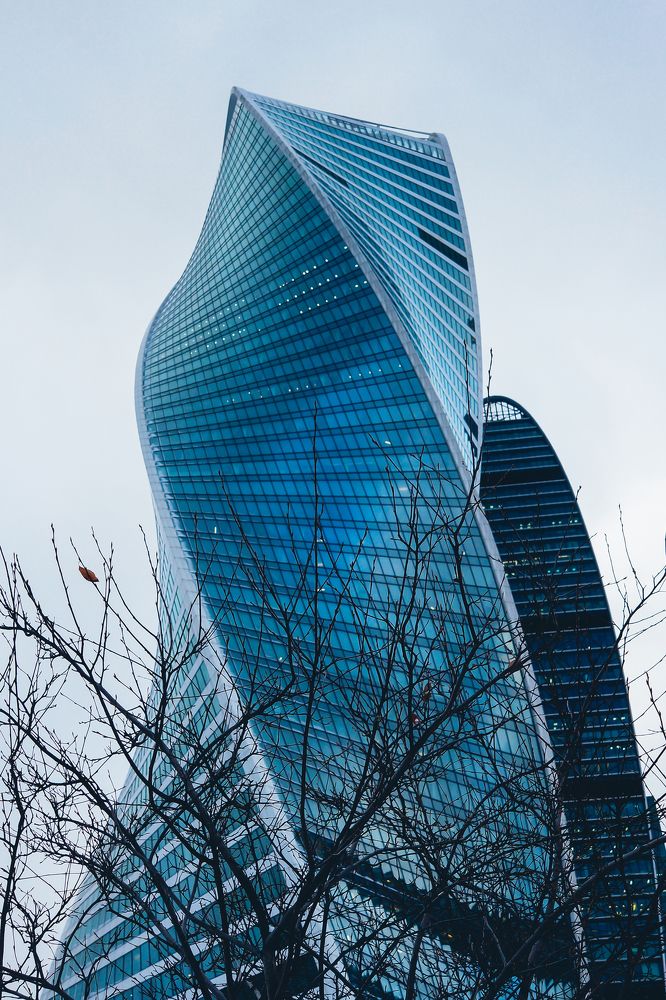 Голубой цветочек