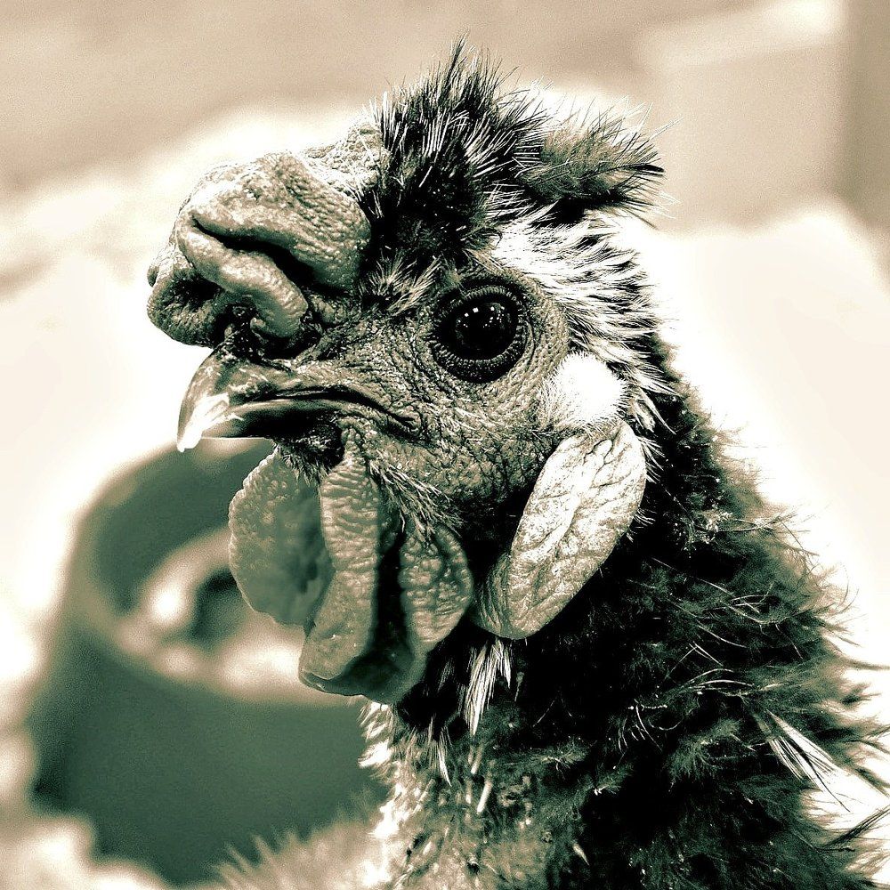 Прощай 2017-ый!