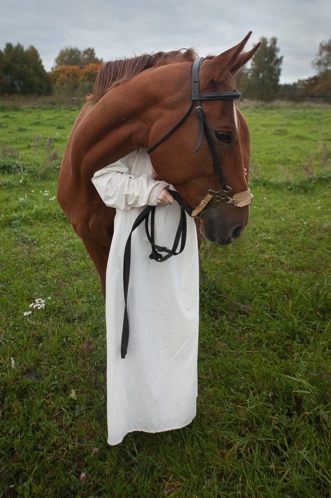 Il vento d'autunno vagabondaggio