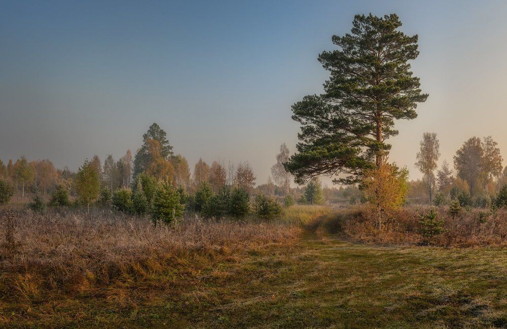 Ранняя осень