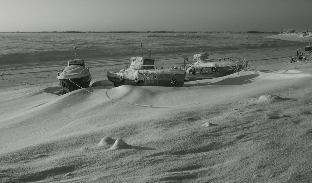 Перезимовать...