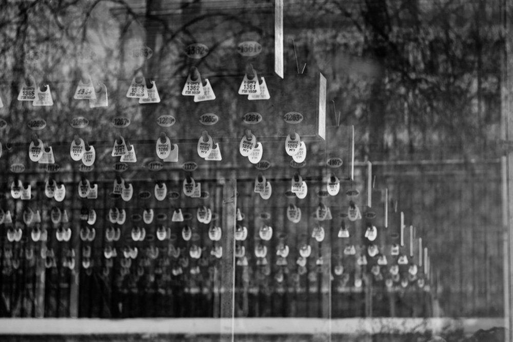 Photograph by Наталья