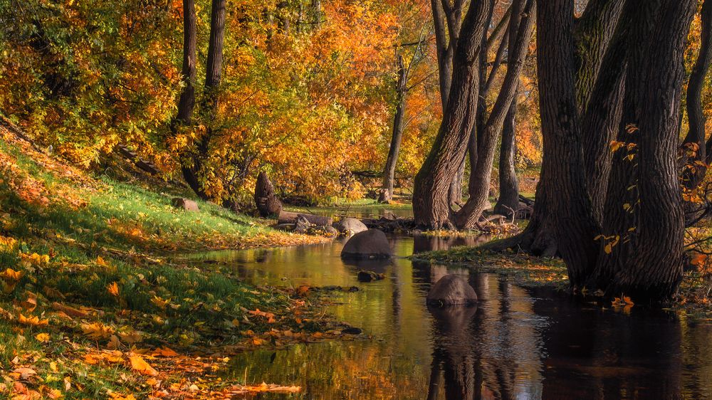 Перед сном...