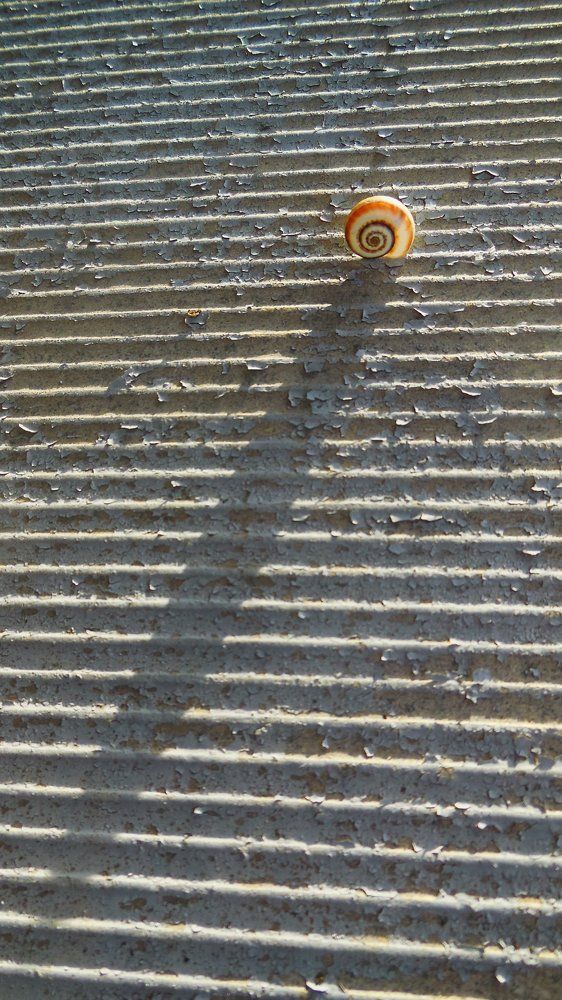 Параллели и пересечения