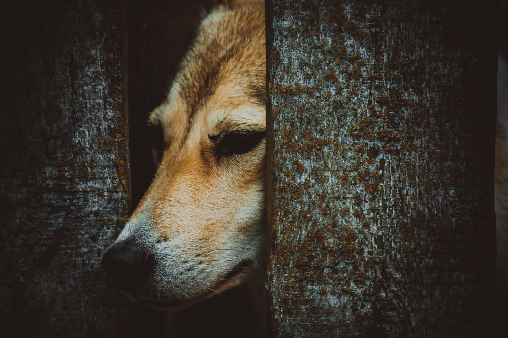 Грусть в глазах