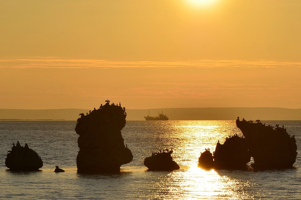 Мандариновый закат