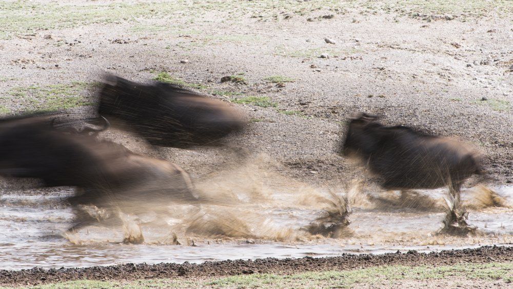 Замедляя мгновения