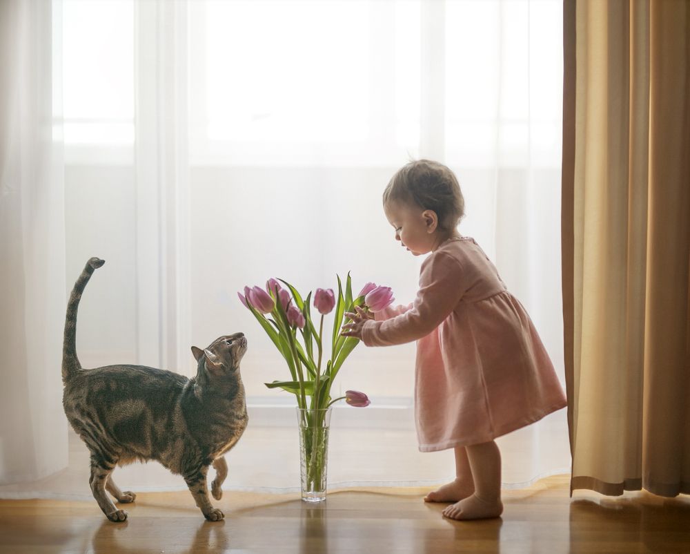 в ожидании весны