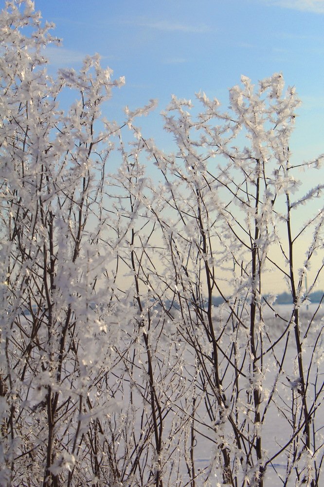 Зимний день