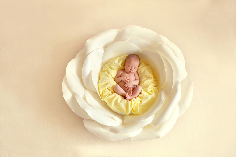 Появилась девочка в чашечке цветка, и была та девочка чуть больше ноготка...