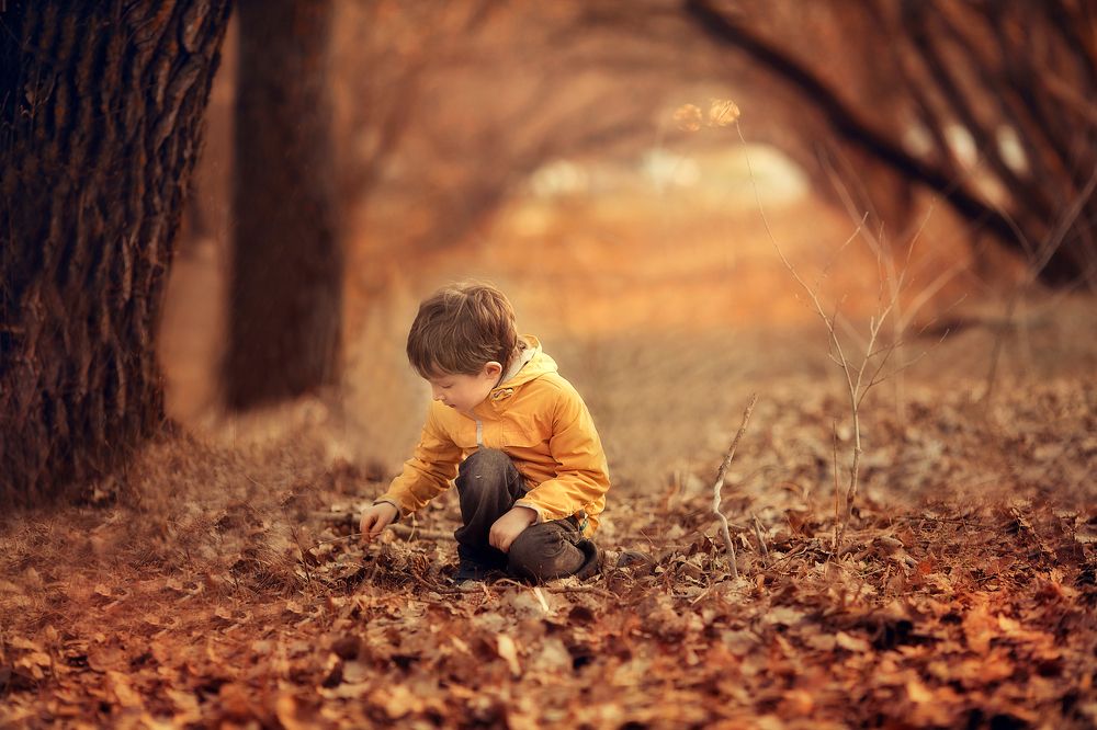 Вербное воскресенье