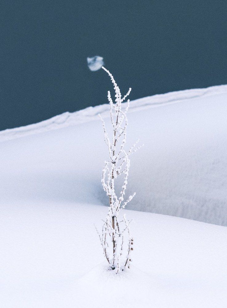 Photograph by Ольга Беккер