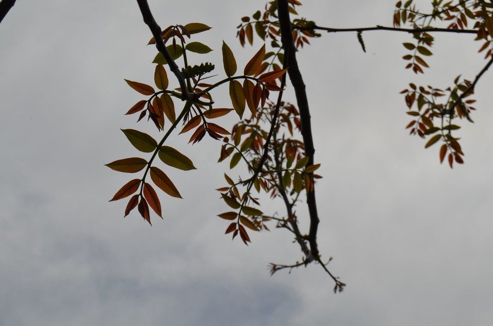 Photograph by Павленко Наталия