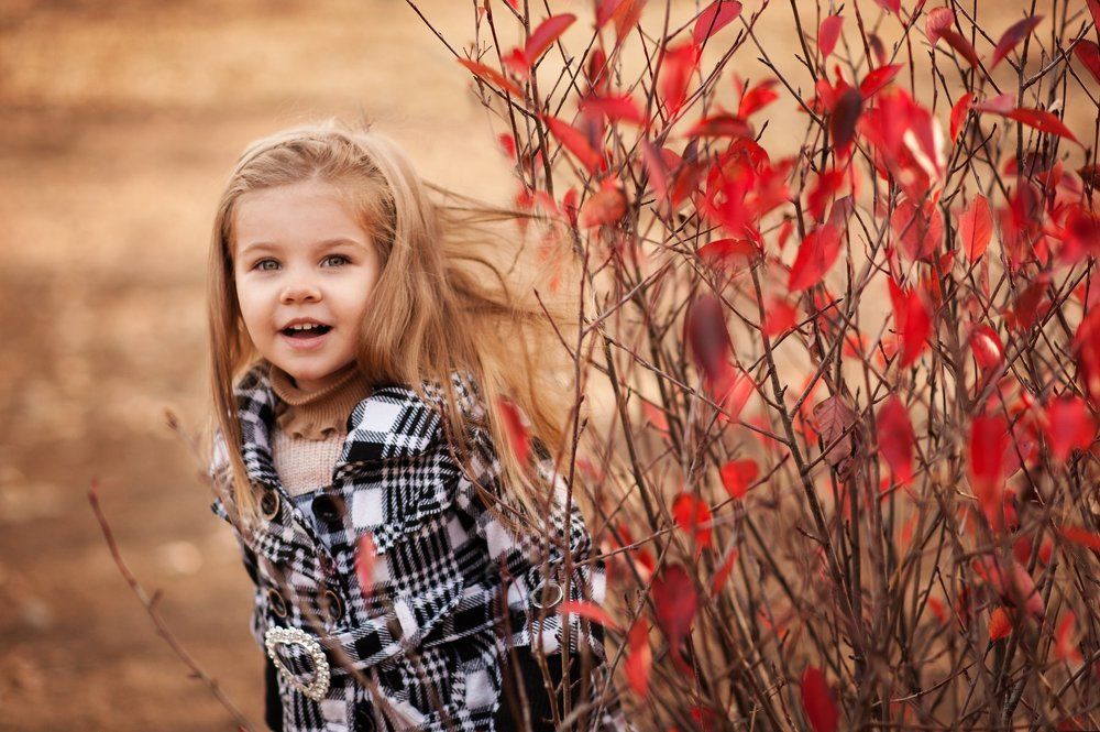 Осеннее настроение