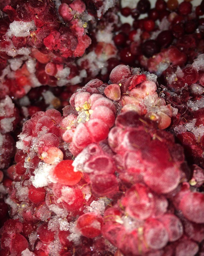 Photograph by Павленко Наталия