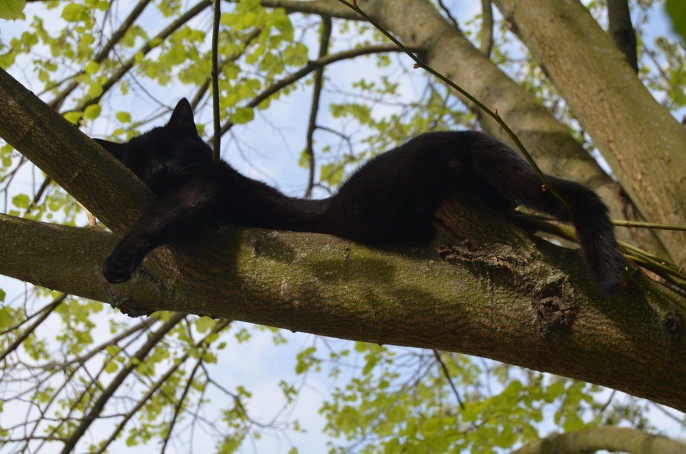 Photograph by Павленко Наталия