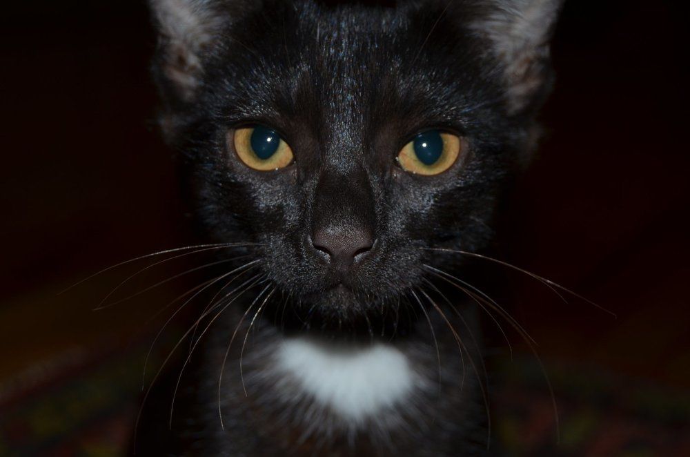 Photograph by Павленко Наталия