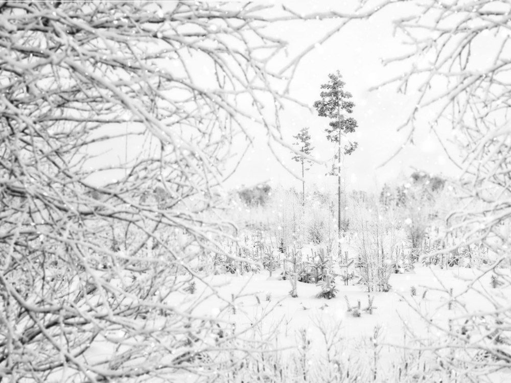 Photograph by Ольга Беккер