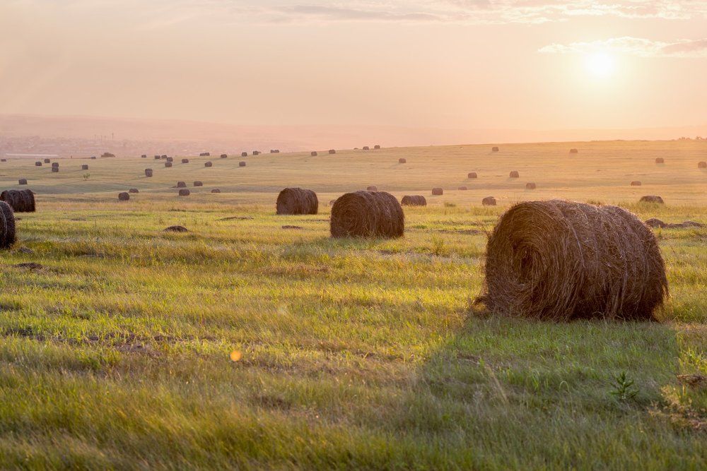 Красота рядом