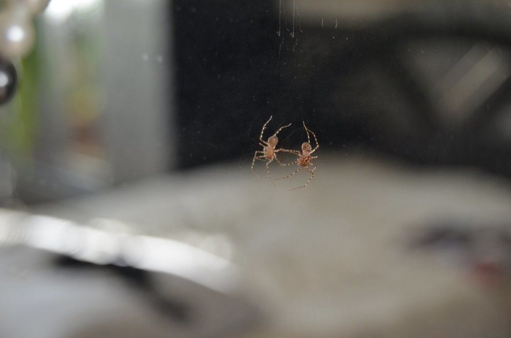 Photograph by Павленко Наталия