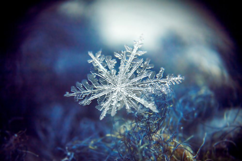 Photograph by Александра