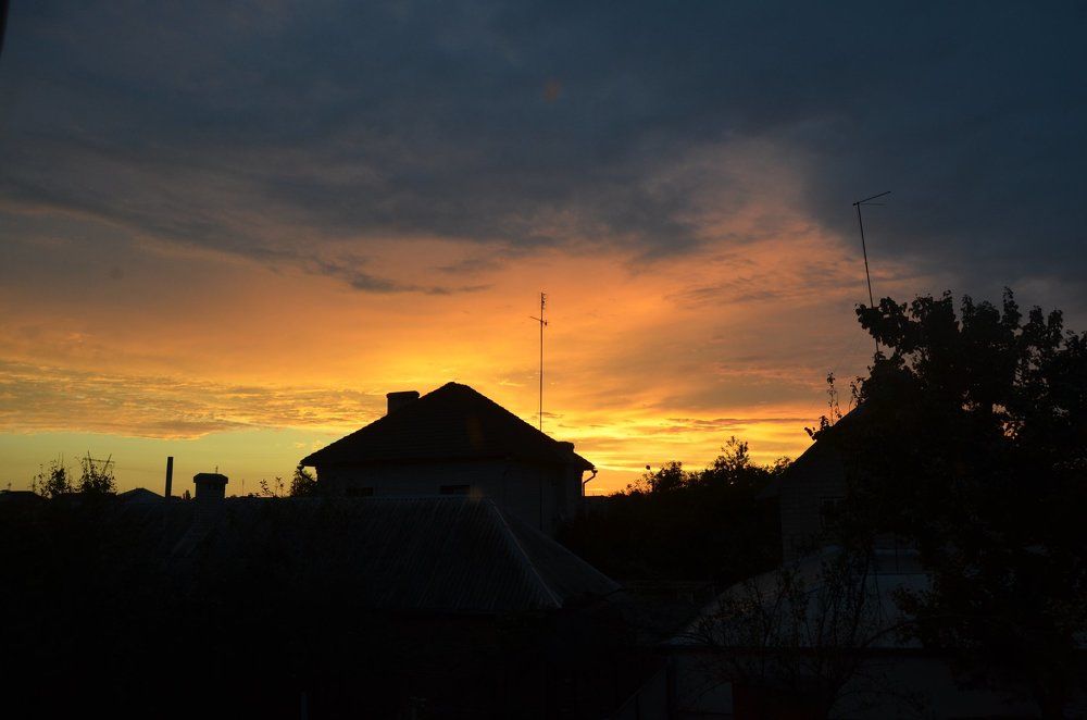 Photograph by Павленко Наталия