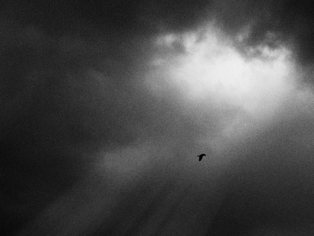 Photograph by Ольга Беккер