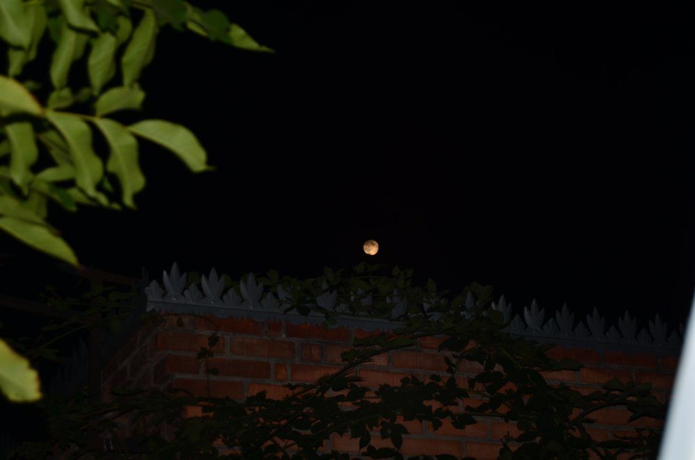 Photograph by Павленко Наталия