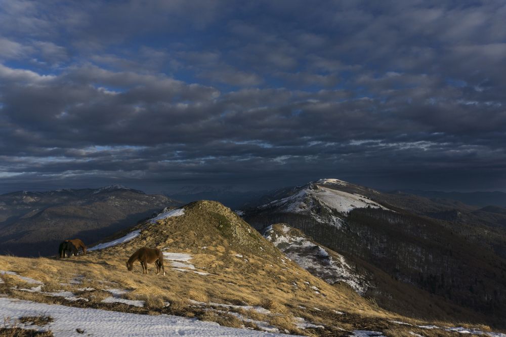 На Семиглавой