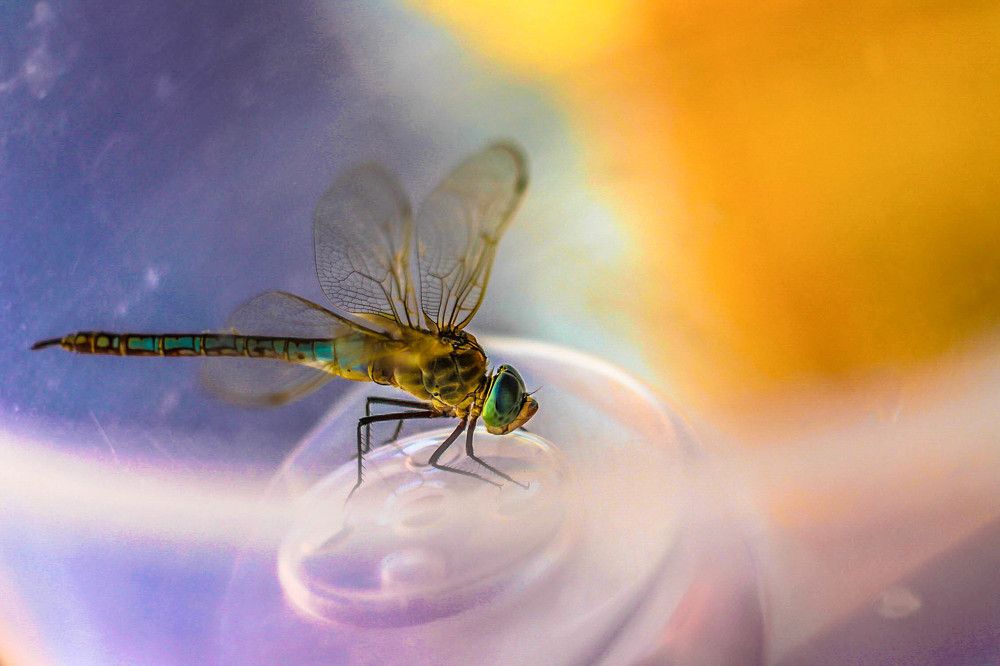 #тожеавиация