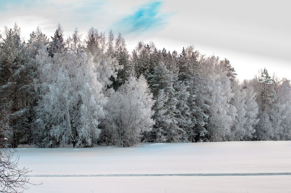 Photograph by Александр