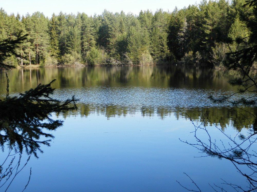 Озеро в Республике Коми