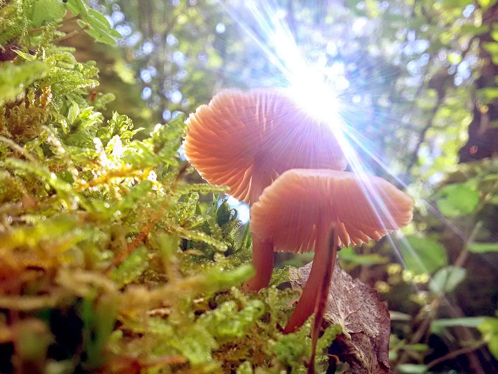 На пригорке