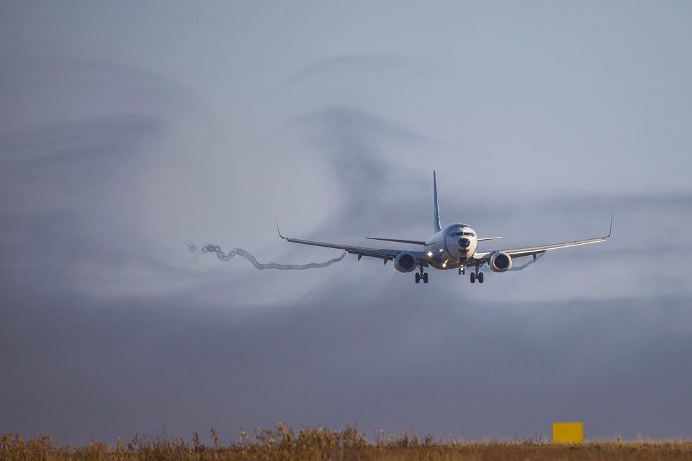 Собачий след