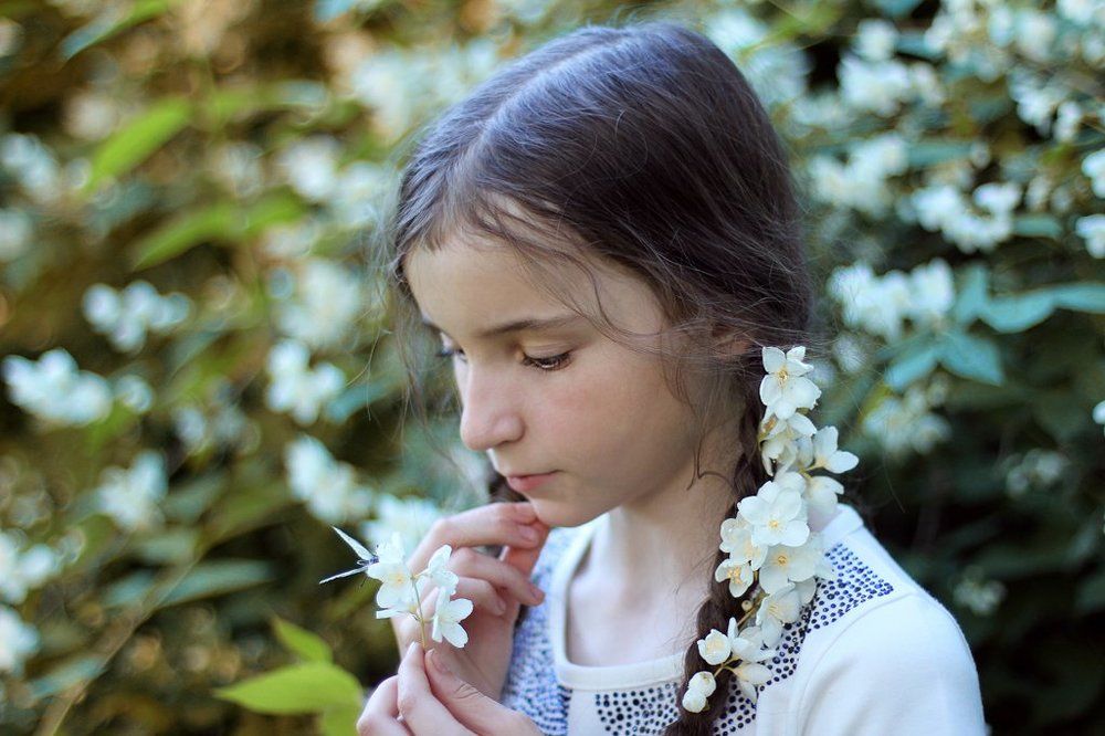 Жасминовая сказка